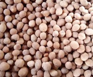 Cara Memasak Cepat Kacang telur Minggu Ini