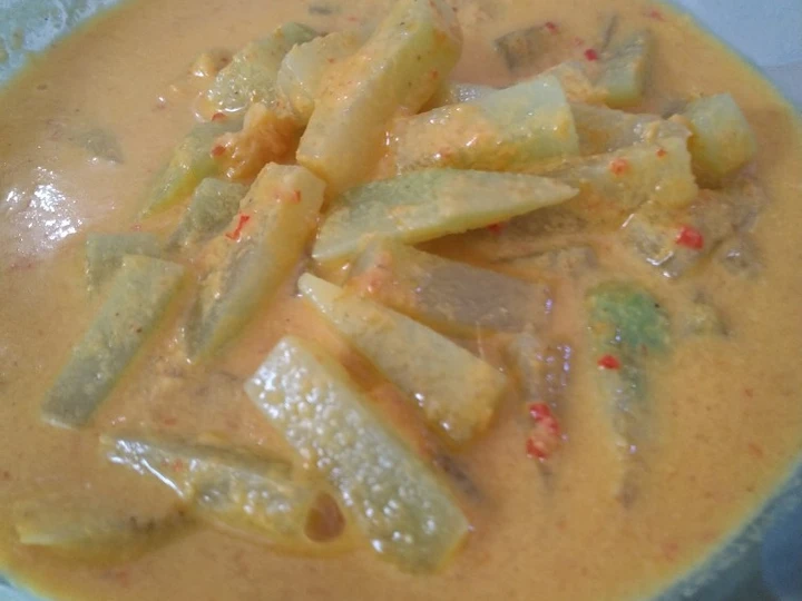 Easy Steps to Prepare Recipes Sayur lodeh Labu siam the So Delicious Really Delicious.