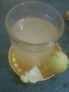 આમળાનું જ્યુસ (Amla Juice Recipe In Gujarati) રેસીપી મુખ્ય ફોટો