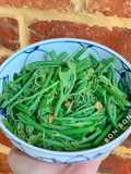 Đọt Su Su Xào Miso