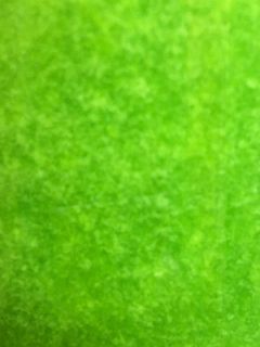 Una foto de Jugó de espinacas, manzana verde 🍏 y limón