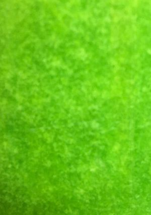 Una foto de Jugó de espinacas, manzana verde 🍏 y limón