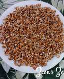 Homemade Horse Gram Sprouts
