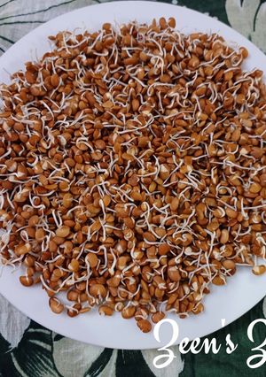 A picture of Homemade Horse Gram Sprouts.
