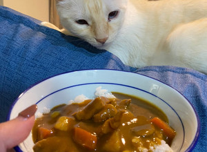 咖喱飯 的食譜成品照片