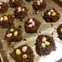 A picture of Coconut Bird's Nests.