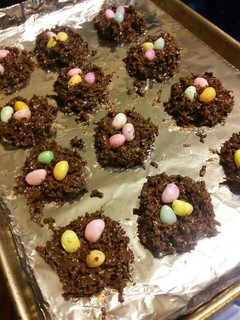 A picture of Coconut Bird's Nests.