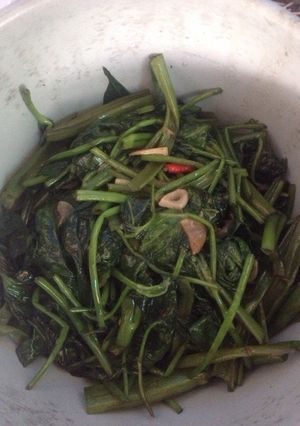 Foto resep Tumis kangkung