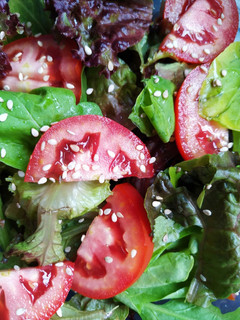 Una foto de Ensalada de lechuga morada, rúcula y tomate 🥬🍅