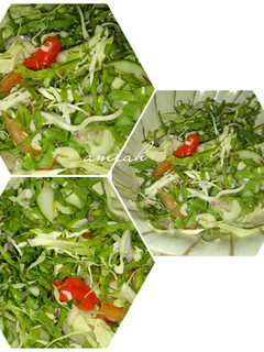 A picture of Cabbage and lettuce salad.