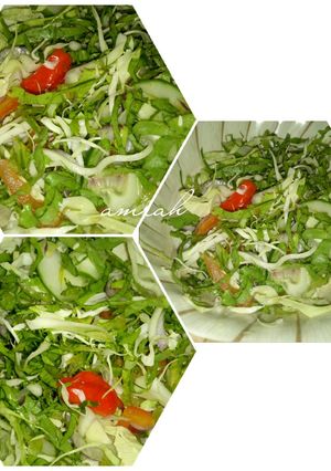 A picture of Cabbage and lettuce salad.