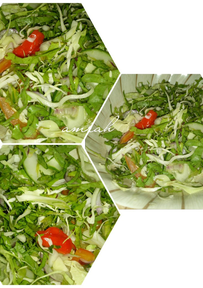 A picture of Cabbage and lettuce salad.