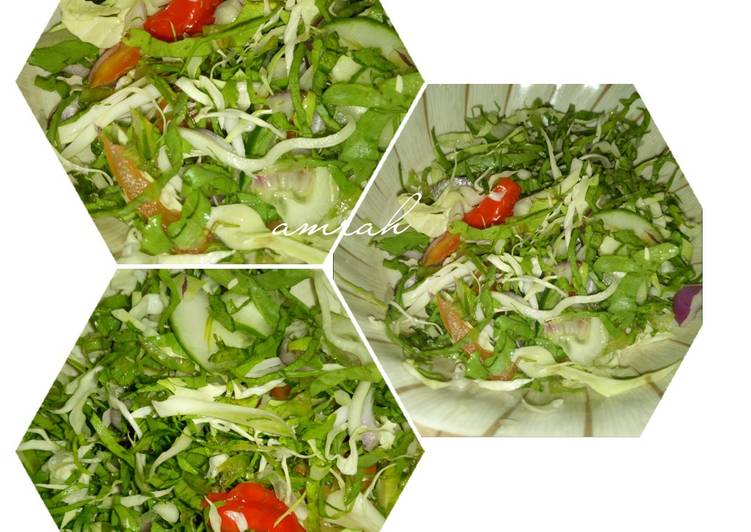 Recipe of Quick Cabbage and lettuce salad