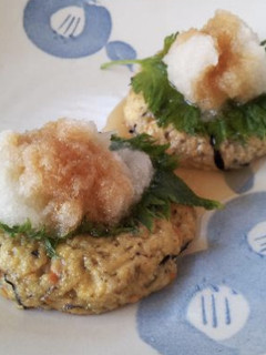 A picture of Tofu Hamburger.