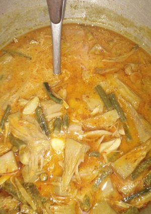 Foto resep Lodeh tewel(nangka muda)