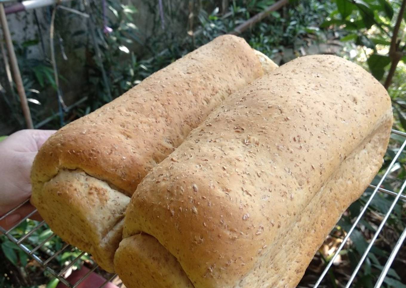 Roti tawar gandum #1
