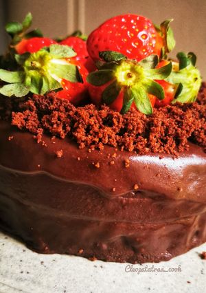 Une photo de Gâteau 100% chocolat monsieur cuisine smart