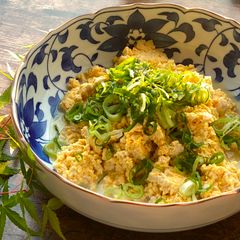 A picture of Japanese Iri-Tofu with ground chicken.
