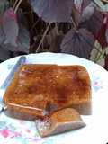 Puding karang