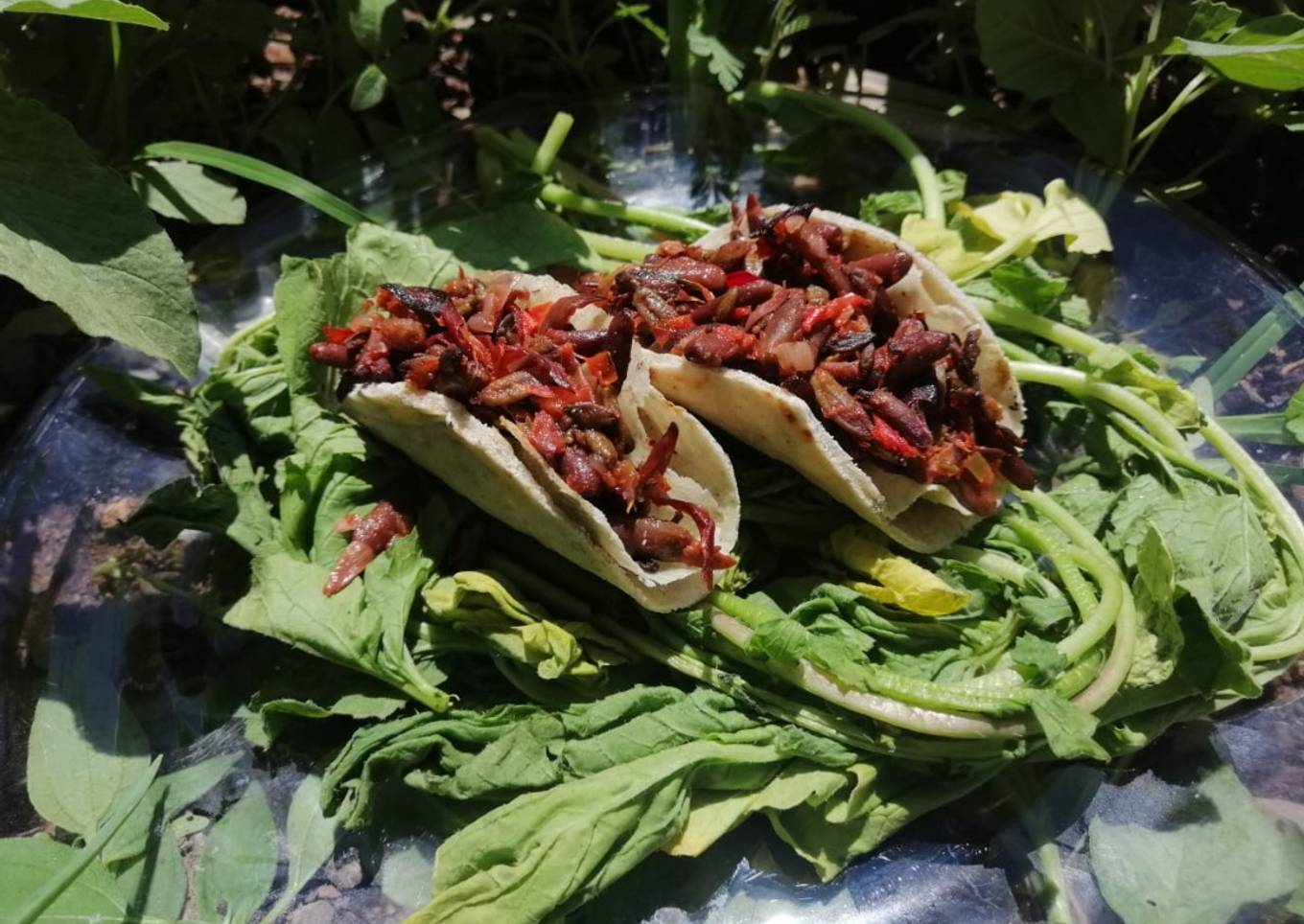 Tacos de flor de colorín (Sta ji ita tizavi)