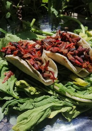 Una foto de Tacos de flor de colorín (Sta ji ita tizavi)