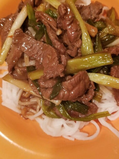 A picture of Mongolian Beef.