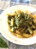 Pesto di basilico