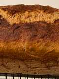 Pan de leche y harina integral