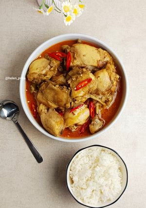 Foto resep Gulai Ayam Praktis