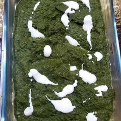 Creamy palak A picture of Creamy palak.