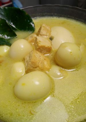 Foto resep Tahu Telor Kuah Kuning 🍲