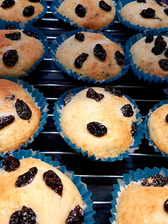 Una foto de 👩‍🍳Muffins de vainilla y pasas (Receta fácil)