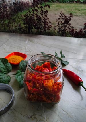 લાલ મરચા નું અથાણું (Red Chili Pickle Recipe In Gujarati) રેસીપી મુખ્ય ફોટો
