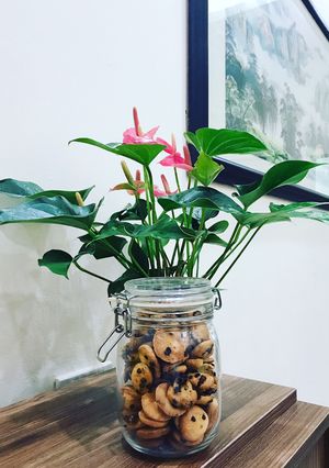 Hình của món Cookie nho khô và sô cô la chip.