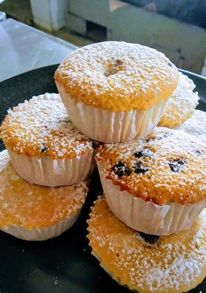 A picture of Muffins.
