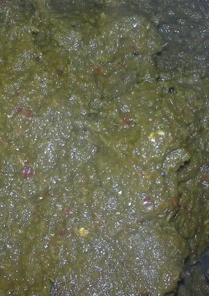 A picture of Coriander Tomato Dip.