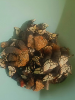 Una foto de Percebes