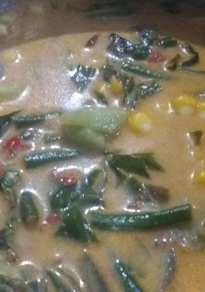 Foto resep Sayur lodeh maknyoss.