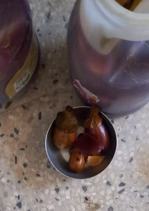 عکسی از دستور ترشی بادمجون ریز🤤