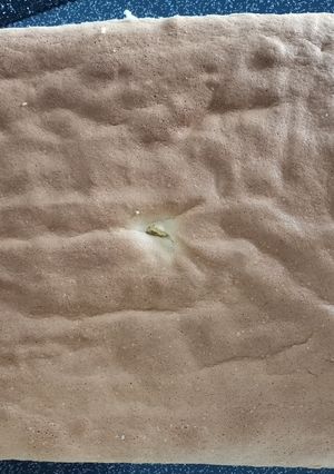 Une photo de Génoise maison extra moelleuse