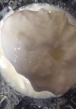 عکسی از دستور ماست خونگی