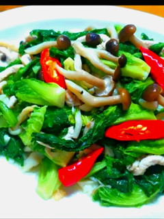 肉絲高麗菜嬰炒鴻禧菇 的食譜成品照片