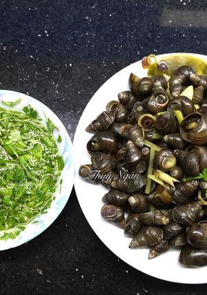 Hình của món Ốc luộc.