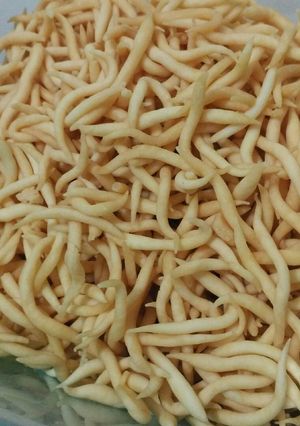 Foto resep Cheese Stick / Kue Gabus