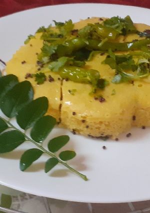 A picture of Nylon khaman.