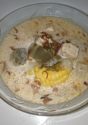 Foto resep Lodeh putih tempe terong