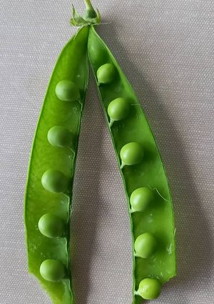 Une photo de Cuisson des petits pois frais