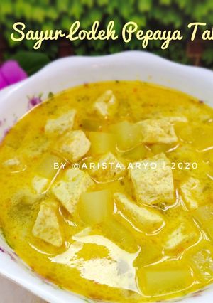 Foto resep Sayur Lodeh Pepaya Tahu