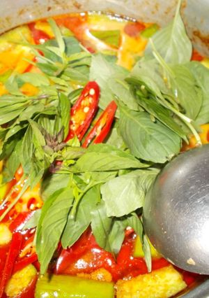 รูปของ แกงเผ็ดเนื้อใส่มะเขือยาว