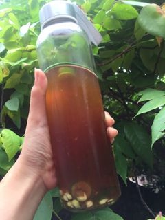 Hình của món Trà quất (tắc).